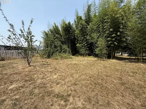 0 Whobrey St, Powers, OR 97466 photo 13