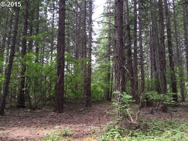 117 W Timber Valley Rd, Appleton, WA 98602 photo 1