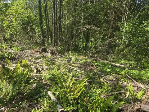 Bear Rd, Elsie, OR 97138