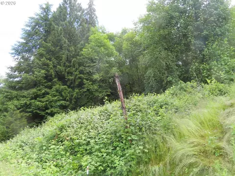 Sylvan Way, Longview, WA 98632 photo 7