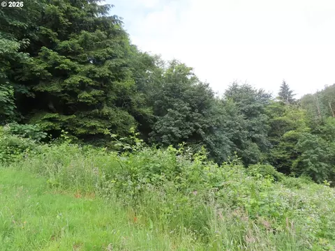 Sylvan Way, Longview, WA 98632 photo 15
