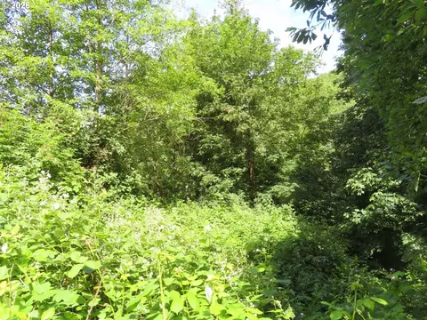Sylvan Way, Longview, WA 98632 photo 8