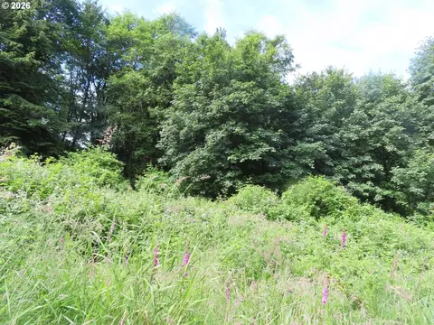 Sylvan Way, Longview, WA 98632 photo 13
