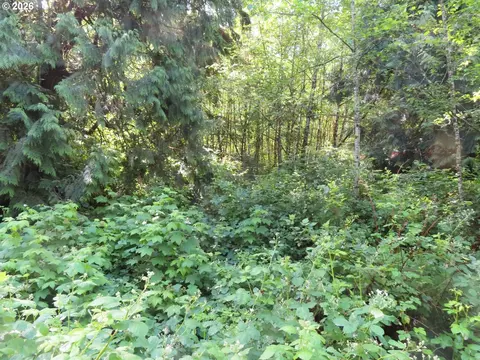 Sylvan Way, Longview, WA 98632 photo 10