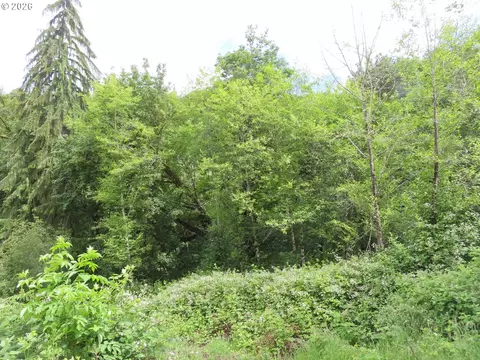 Sylvan Way, Longview, WA 98632 photo 6