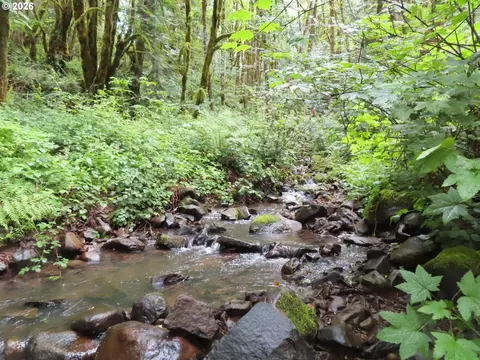Sylvan Way, Longview, WA 98632 photo 11