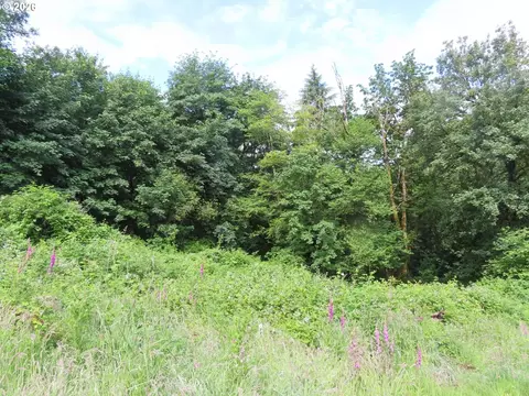 Sylvan Way, Longview, WA 98632 photo 14