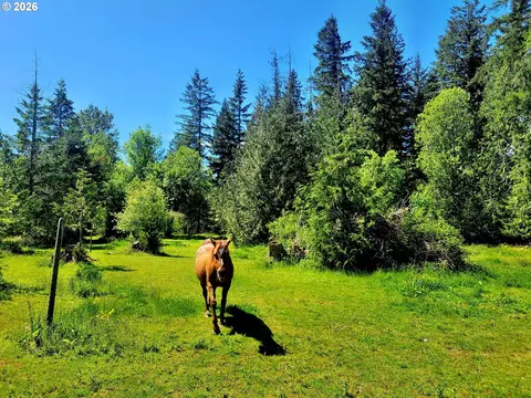 632 Meier Rd, Winlock, WA 98596 photo 10