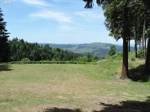 299 Doe Rd, Glide, OR 97443 photo 1