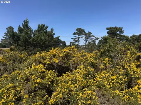 Jackson Rd, Bandon, OR 97411