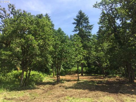 597 Mountaingate Dr, Springfield, OR 97478 photo 1