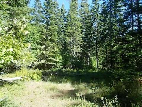 38 Frontier Rd, Appleton, WA 98602 photo 1