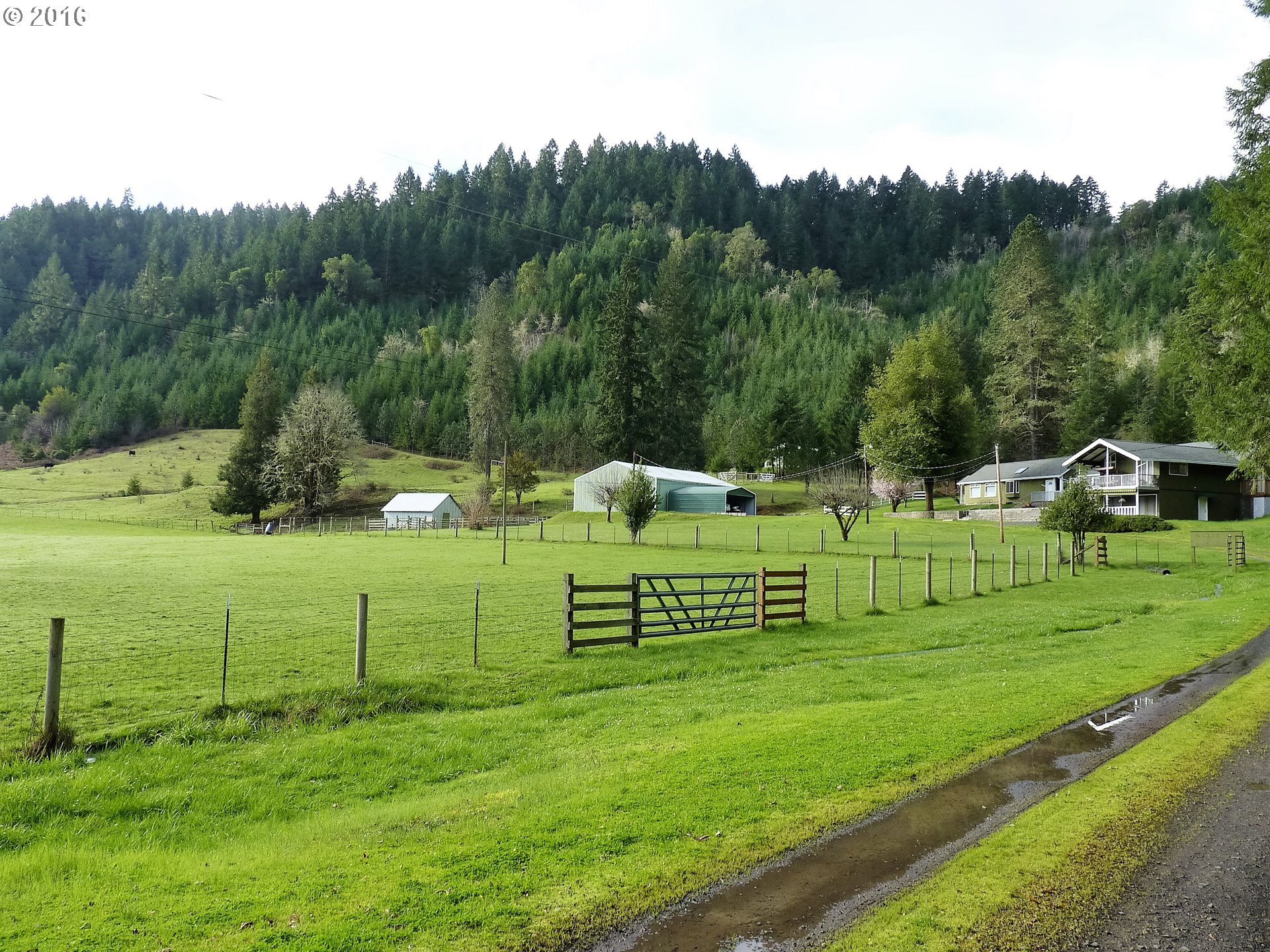5905 Upper Olalla Rd, Winston, OR 97496 photo 1