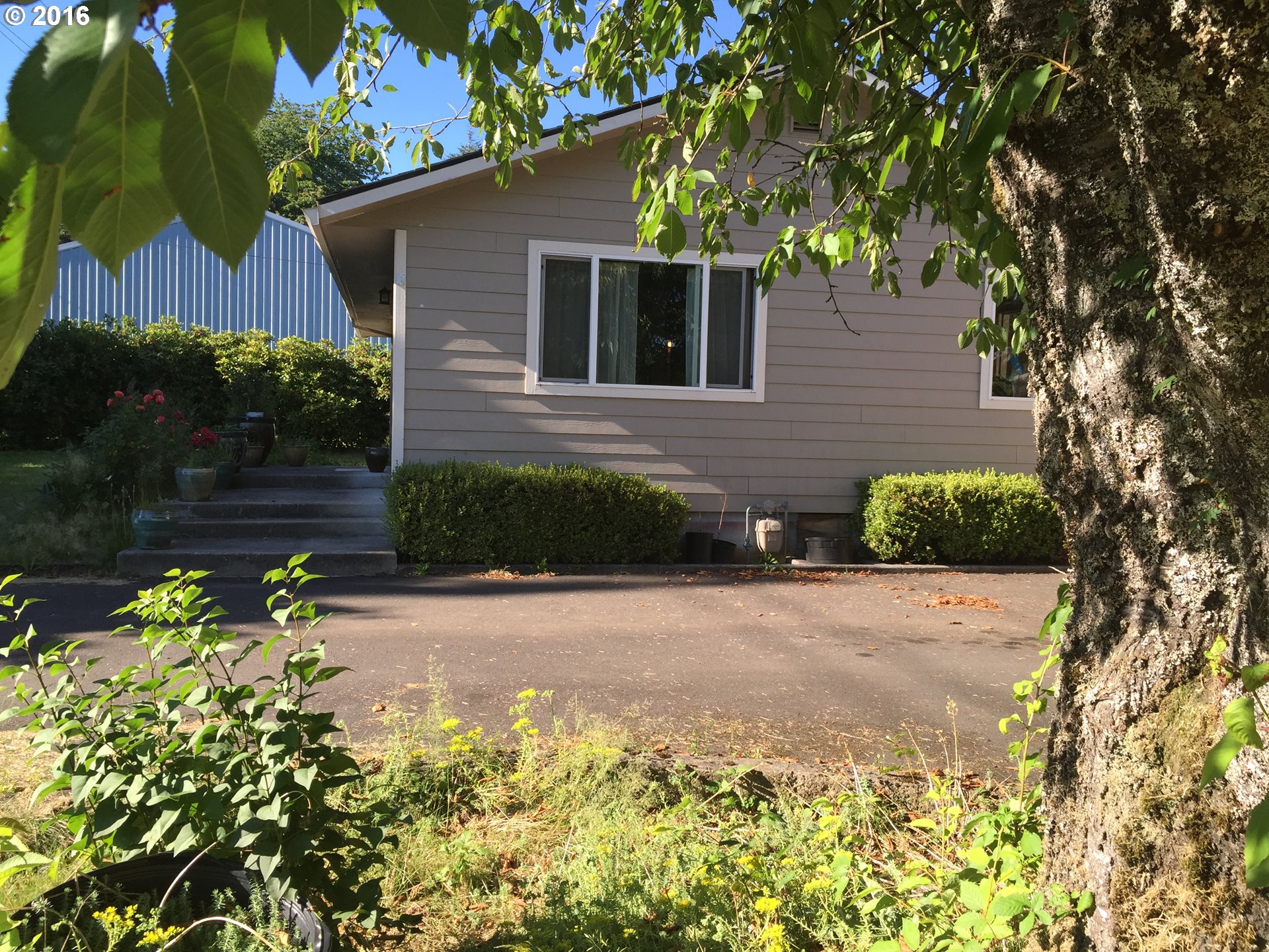 14462 SE Bluff Rd, Sandy, OR 97055 photo 1