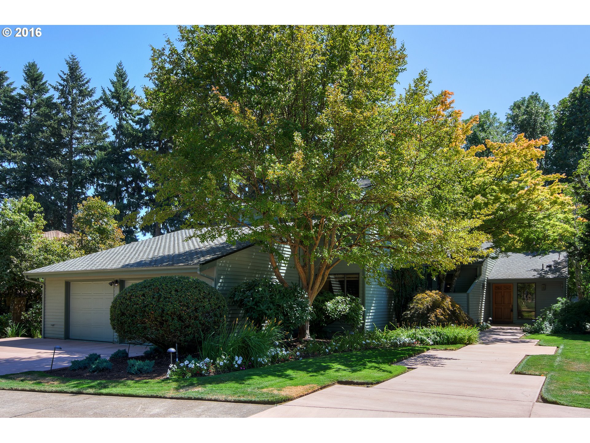 677 Spyglass Dr, Eugene, OR 97401 photo 1