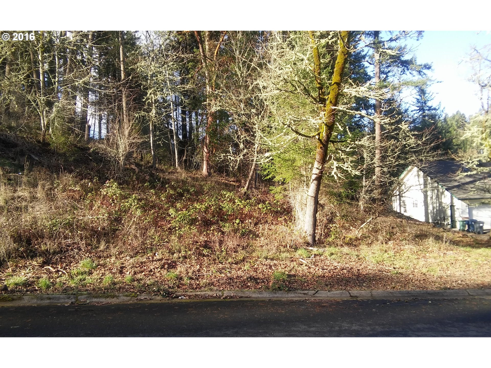 7 Rockridge Loop, Eugene, OR 97405 photo 1