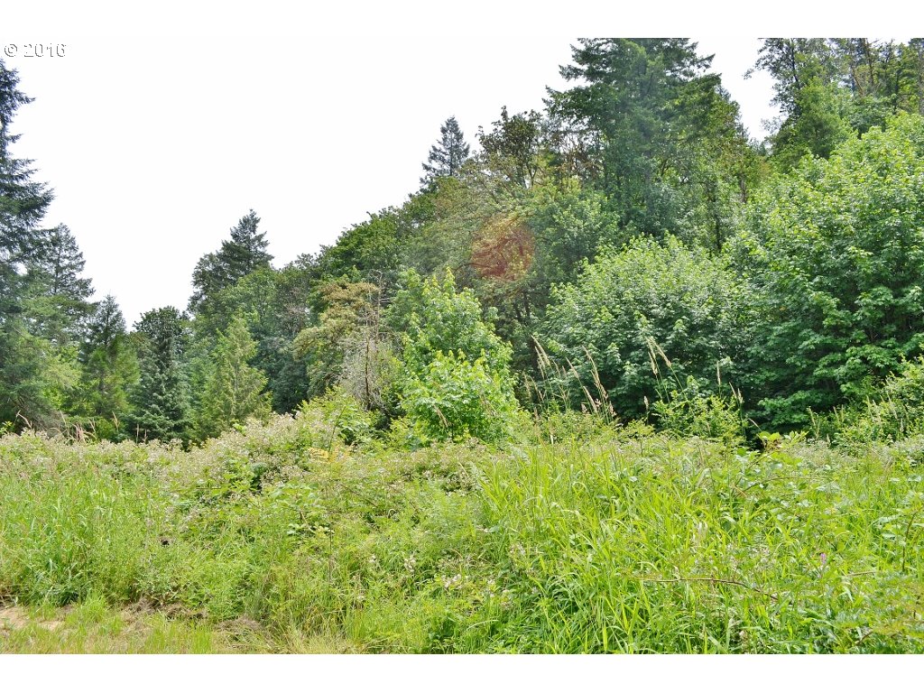 25756 Taylor Park Rd, Lyons, OR 97358 photo 1