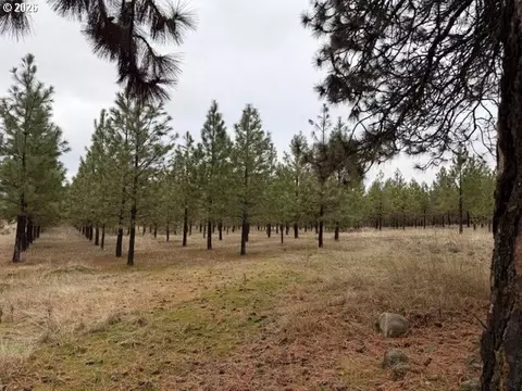 garrison rd, Goldendale, WA 98620