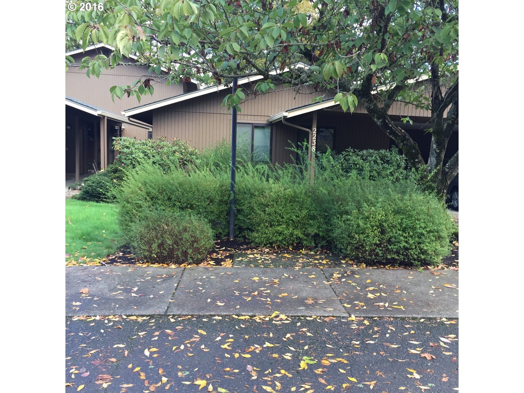 2238 Ridgeway Dr, Eugene, OR 97401 photo 1