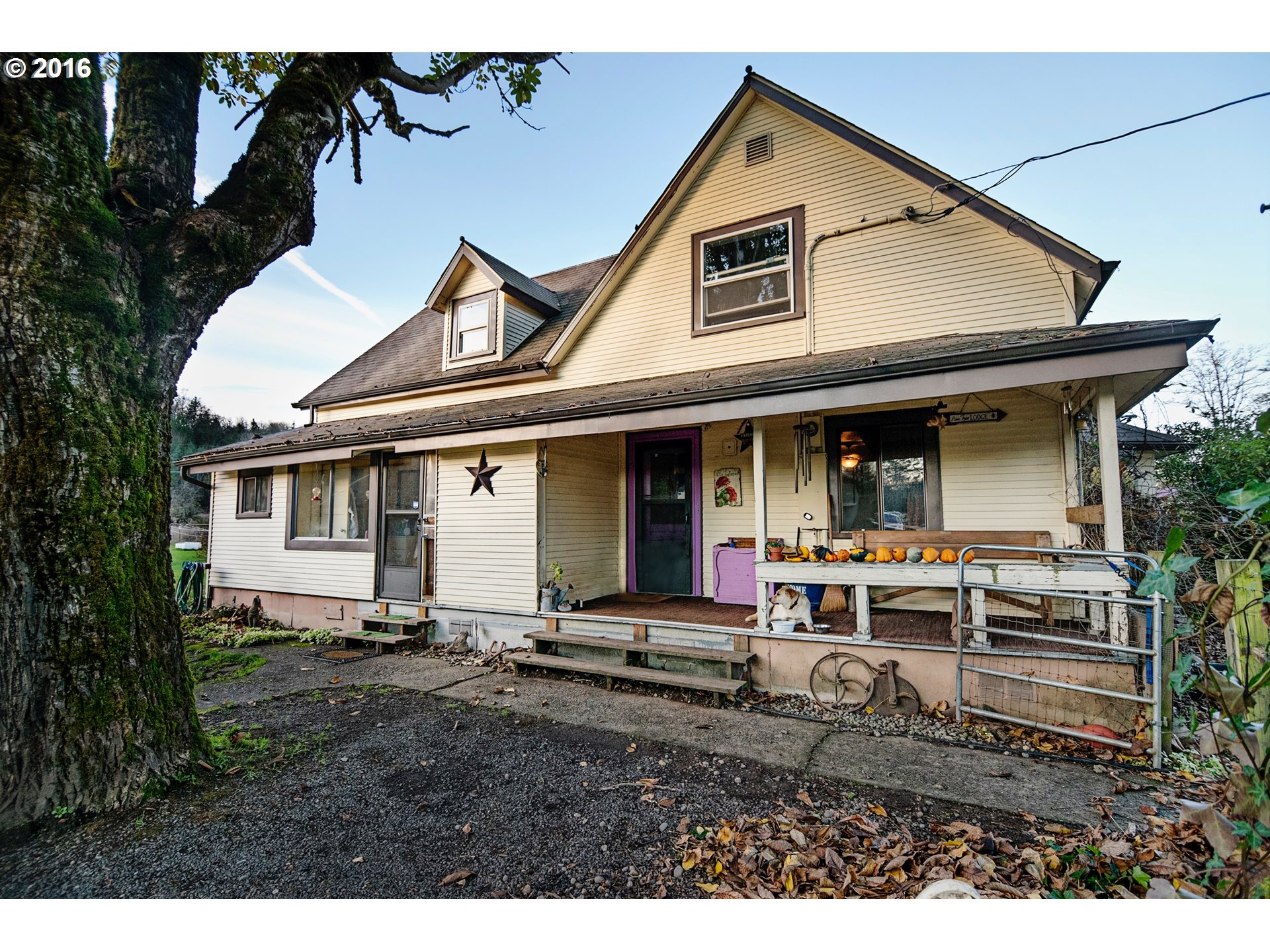 1310 Hining Rd, Winlock, WA 98596 photo 1