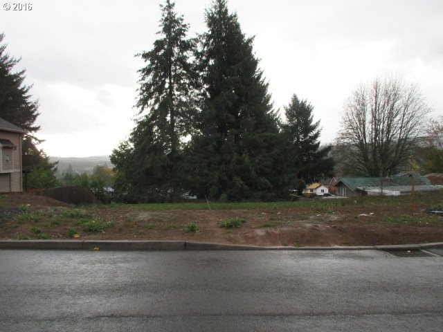 375 NW 6th St, Willamina, OR 97396 photo 1