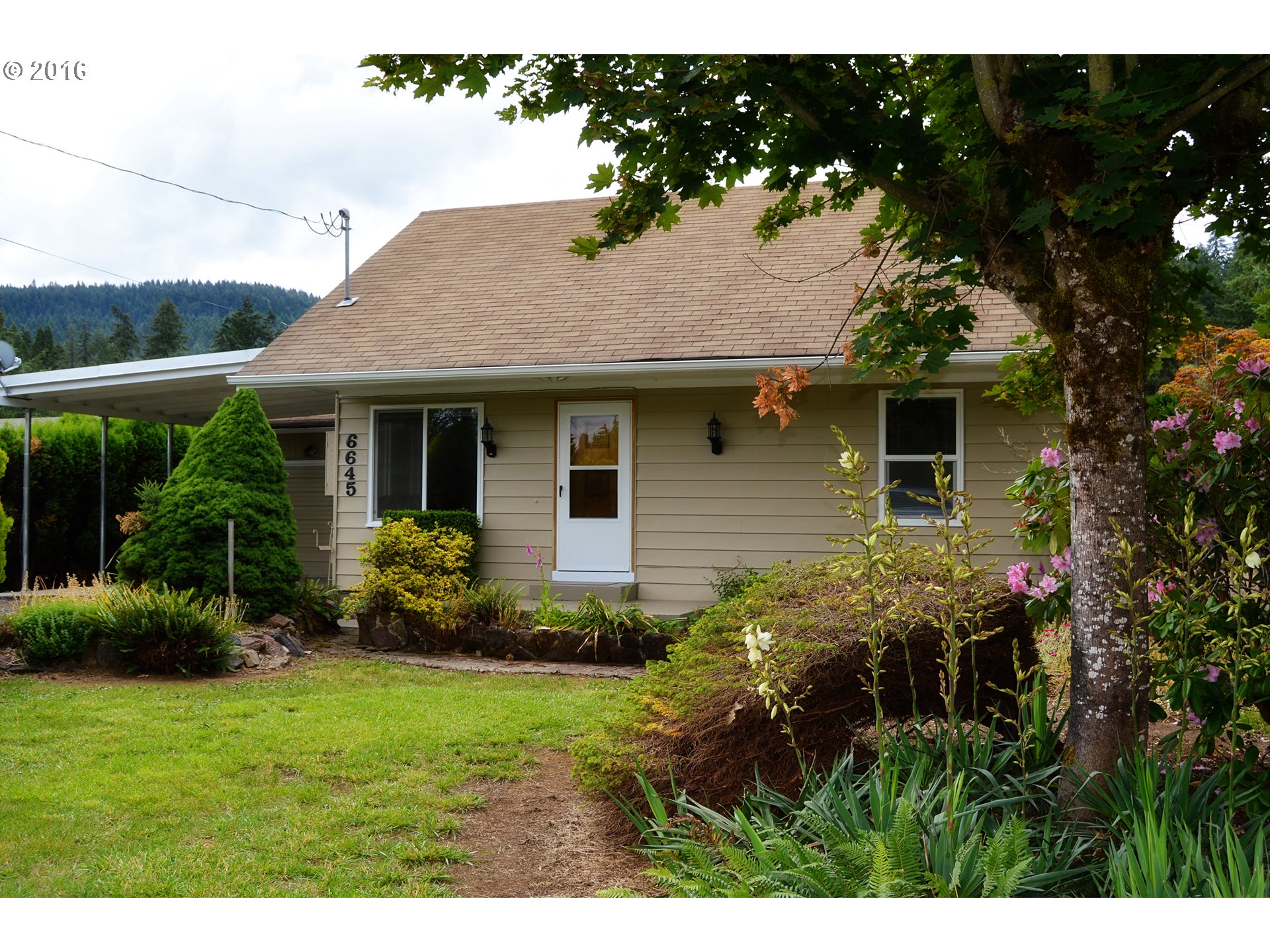6645 Main St, Springfield, OR 97478 photo 1