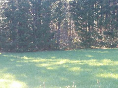 2311 Loop Rd, Stevenson, WA 98648 photo 1