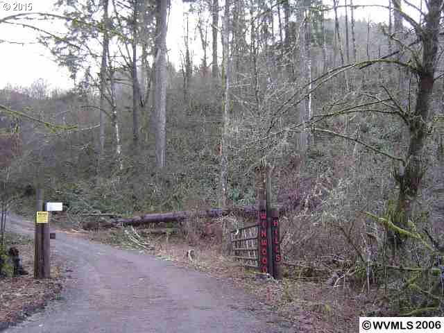 11055 Winstanley Dr SE, Lyons, OR 97358 photo 1