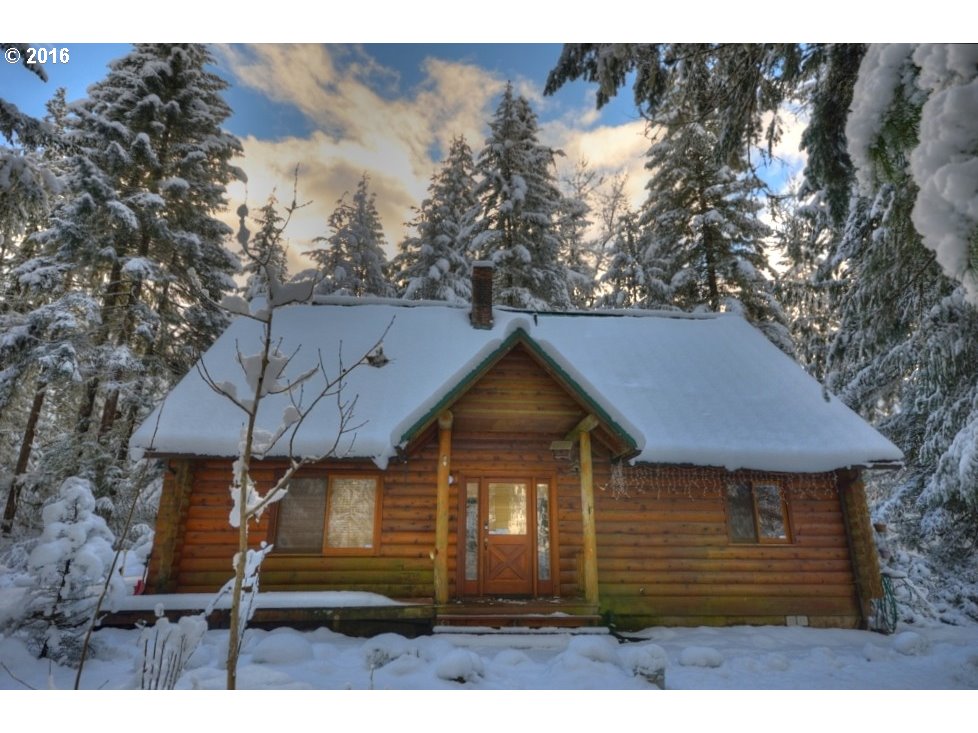 20565 E Carnarvon Rd, Rhododendron, OR 97049 photo 1