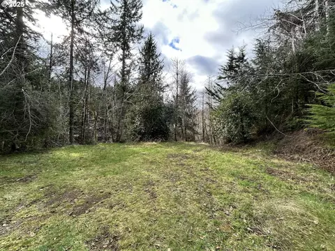 Tl201 Lt Nestucca Rr Hwy, Cloverdale, OR 97112