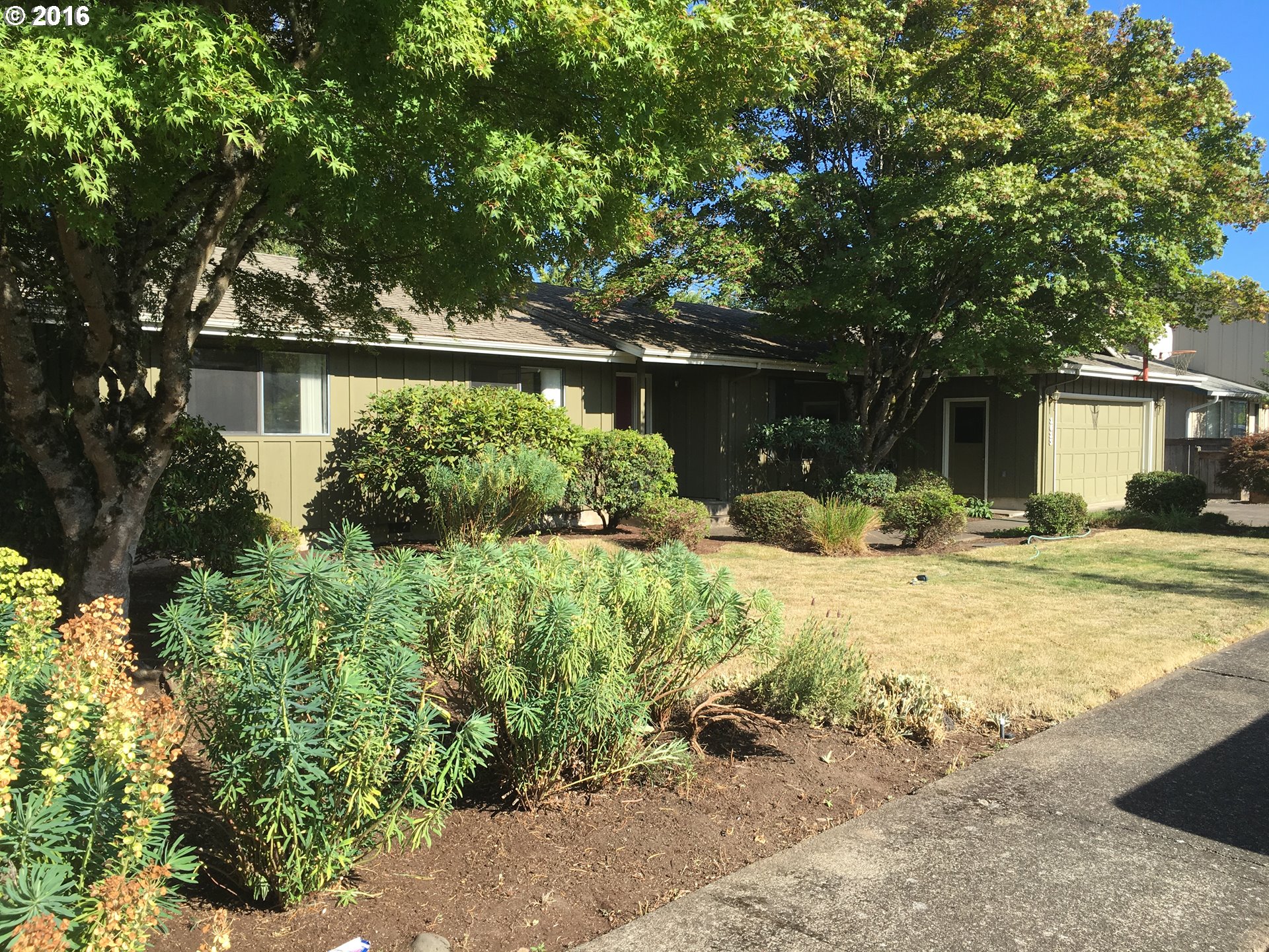 1615 Carlton St, Eugene, OR 97401 photo 1