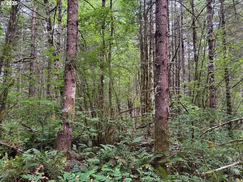 NW Pebble Creek Rd, Buxton, OR 97109
