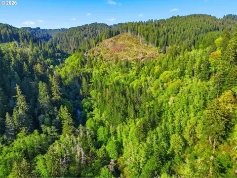 Upper North Ford Rd, Florence, OR 97439