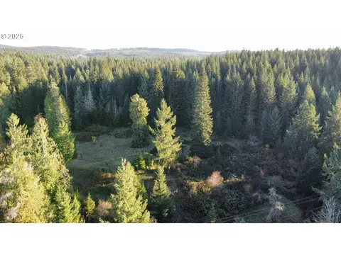 Hard Cash Ln, Camas Valley, OR 97416