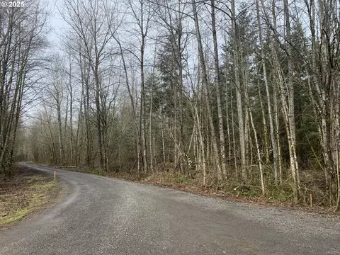 NE 84th Ave, Battle Ground, WA 98604