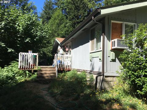 23800 E Bailey Rd, Rhododendron, OR 97049 photo 1