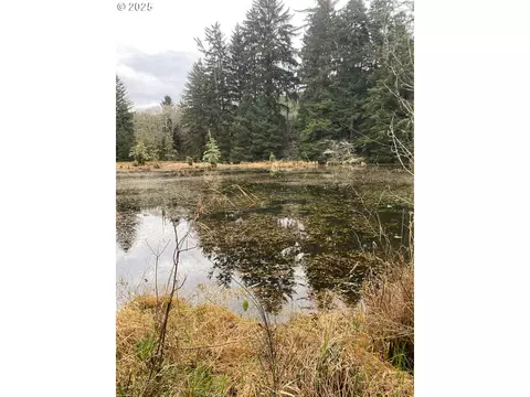 Wildwood Dr, North Bend, OR 97459