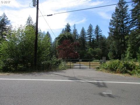 32325 N Fork Rd, Lyons, OR 97358 photo 1