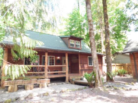 65615 E Timberline Dr, Rhododendron, OR 97049 photo 1