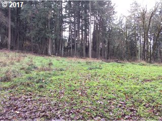 17606 S Ramsby Rd, Molalla, OR 97038 photo 1