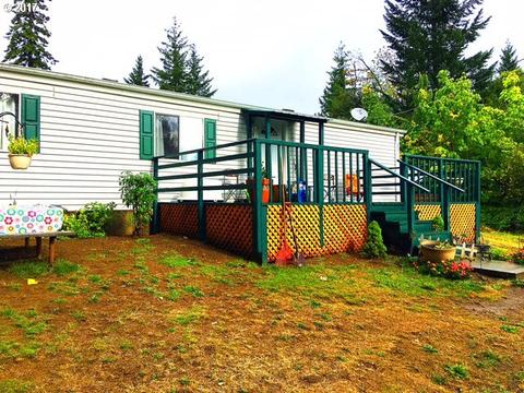 82 Jarrell Dr, Carson, WA 98610 photo 1
