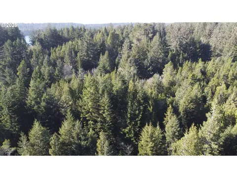 Cedar Ln, Florence, OR 97439 photo 11