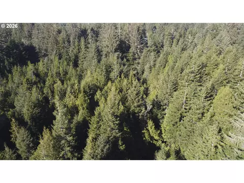 Cedar Ln, Florence, OR 97439 photo 12