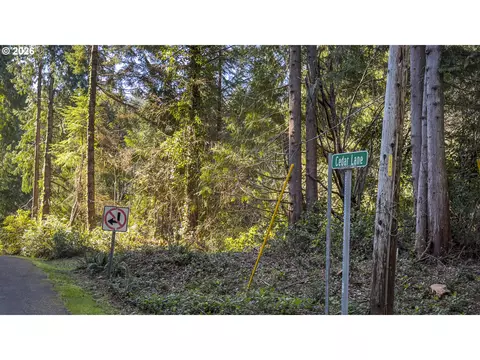 Cedar Ln, Florence, OR 97439 photo 2