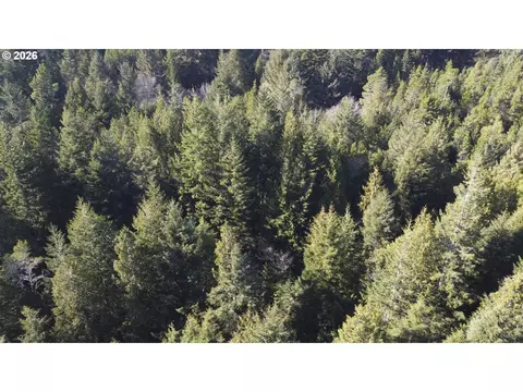 Cedar Ln, Florence, OR 97439 photo 7