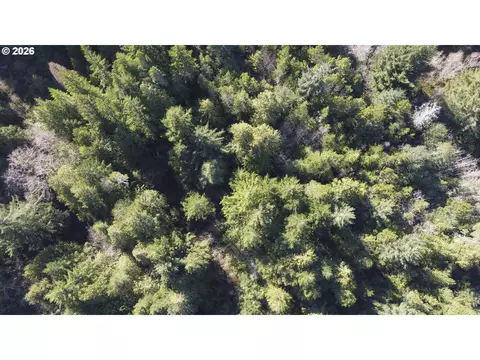 Cedar Ln, Florence, OR 97439 photo 5