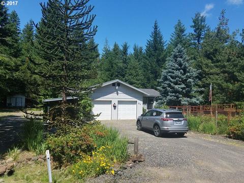 51 Heslen Rd, Carson, WA 98610 photo 1
