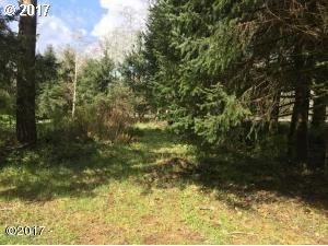 46 Camp 12 Loop, Siletz, OR 97380 photo 1