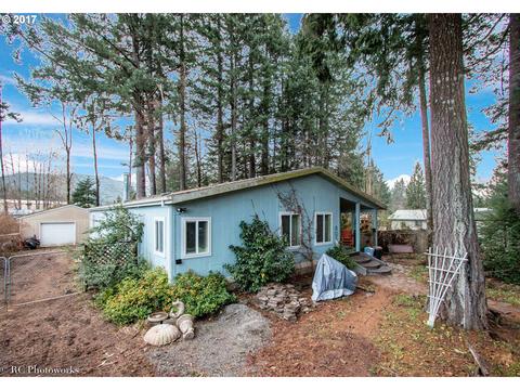 142 Dillingham Loop, Carson, WA 98610 photo 1