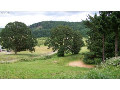 27700 Hing Ln, Lorane, OR 97451 photo 1